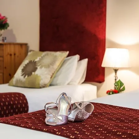 Penzion Kingfisher Townhouse Dublin